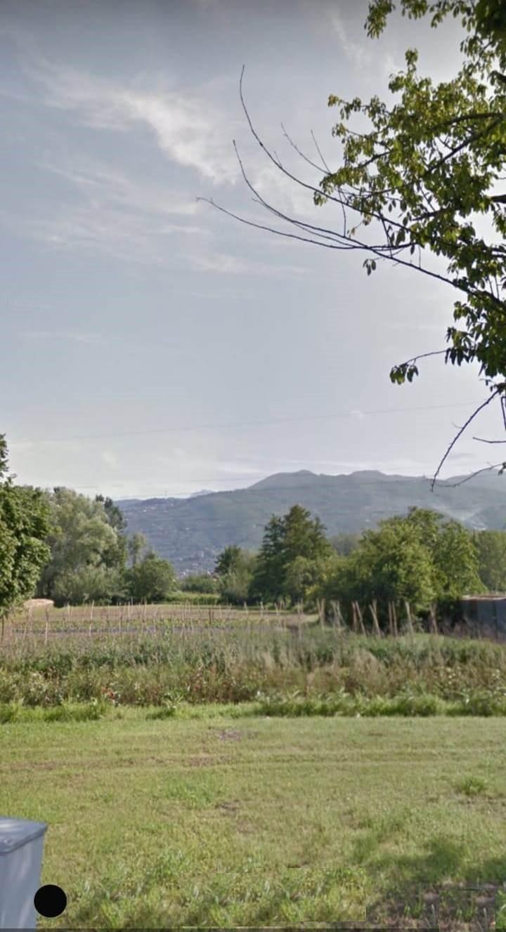 Terreno Agricolo in vendita a Pietrasanta