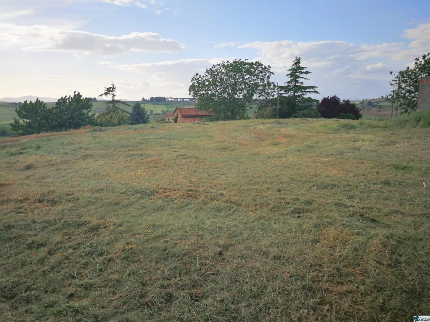 Terreno Edificabile in vendita a Terricciola