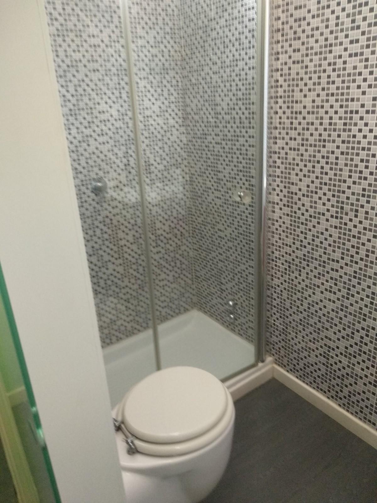 Attivit commerciale in affitto/gestione a Pisa