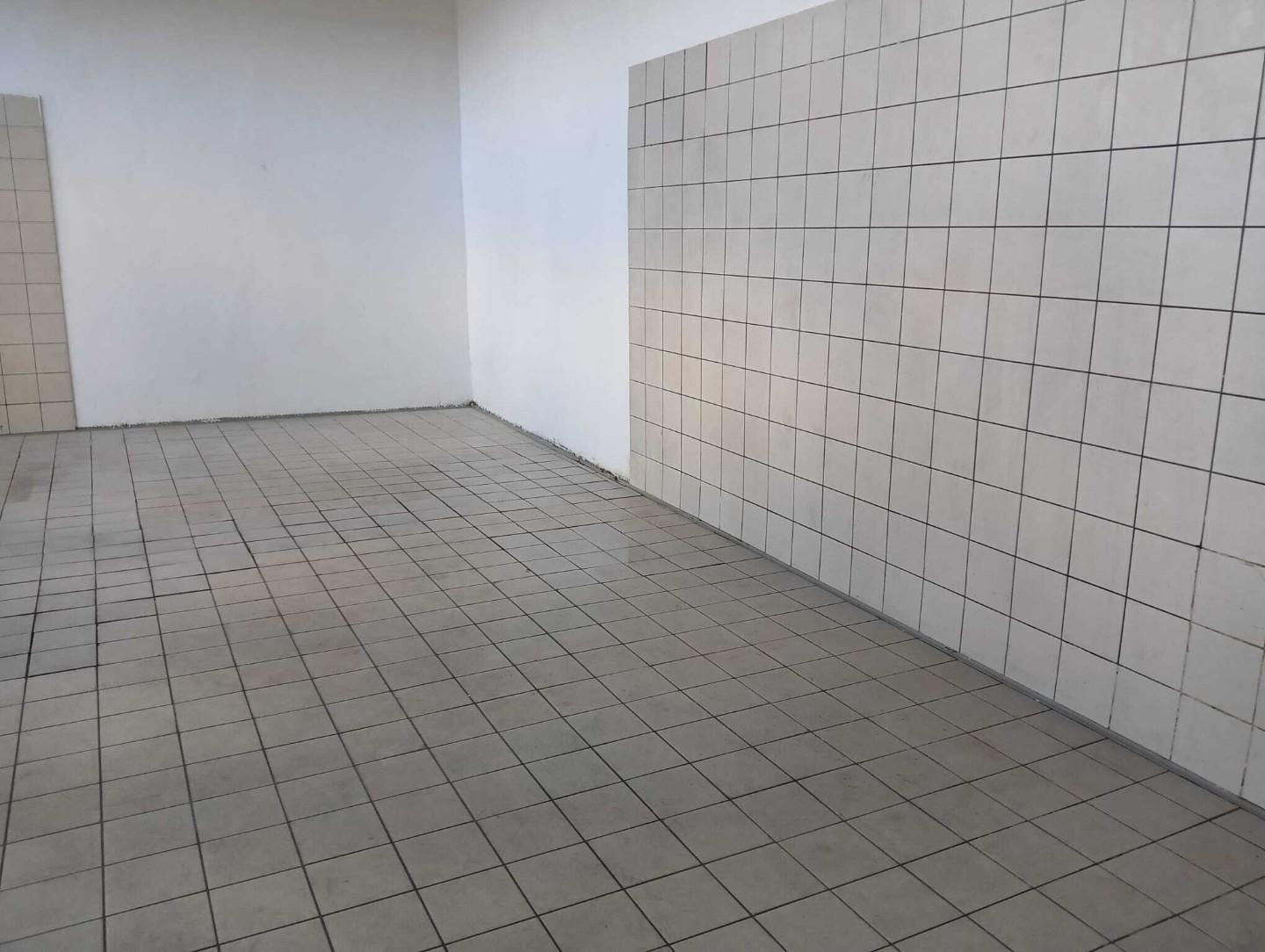 Laboratorio in affitto, San Giuliano Terme mezzana