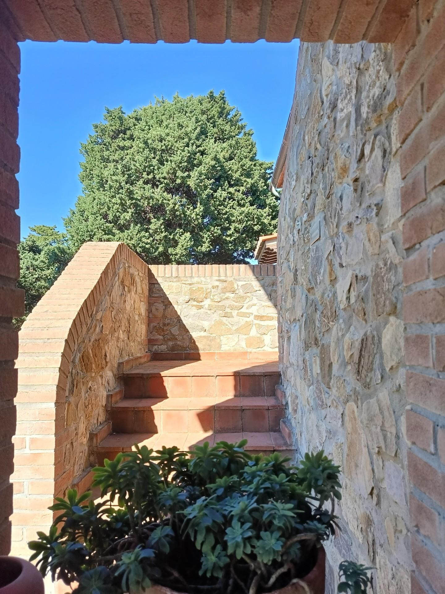 Rustico con giardino a Pisa