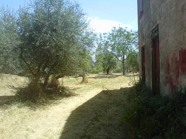 Rustico da ristrutturare, Peccioli legoli