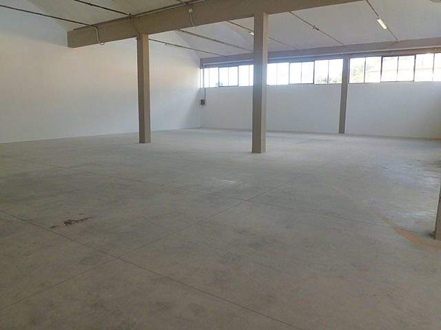 Capannone in affitto, Vicopisano lugnano