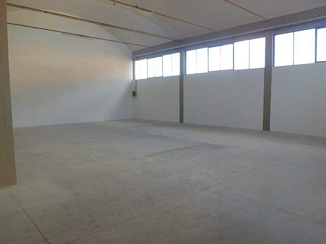 Capannone in affitto, Vicopisano lugnano