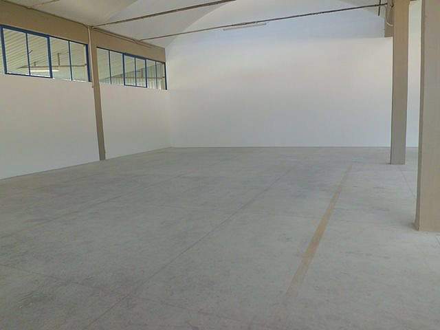 Capannone in affitto, Vicopisano lugnano