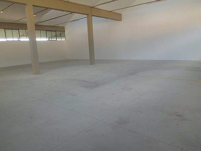 Capannone in affitto, Vicopisano lugnano