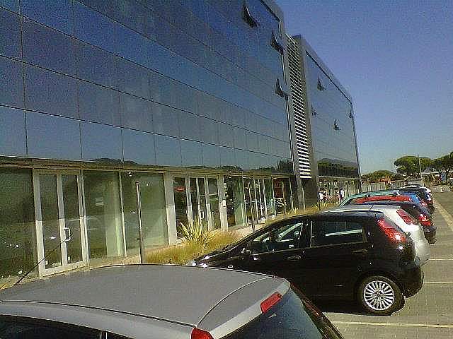 Ufficio in affitto a Pisa