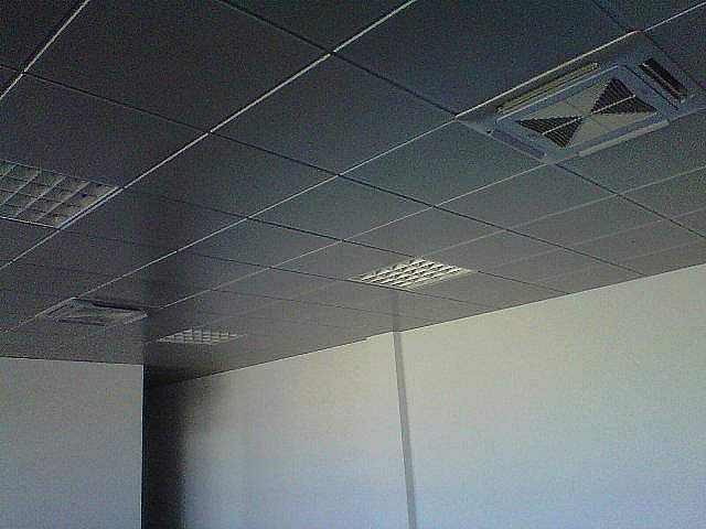 Ufficio in affitto a Pisa