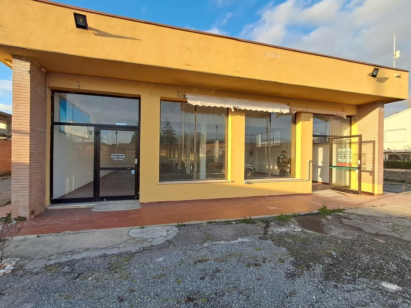 Capannone in affitto a Vicopisano