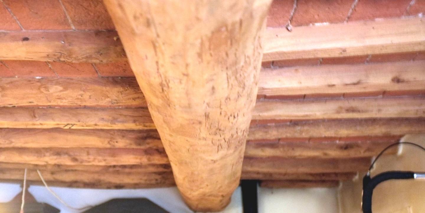 Bilocale arredato in affitto a Buti