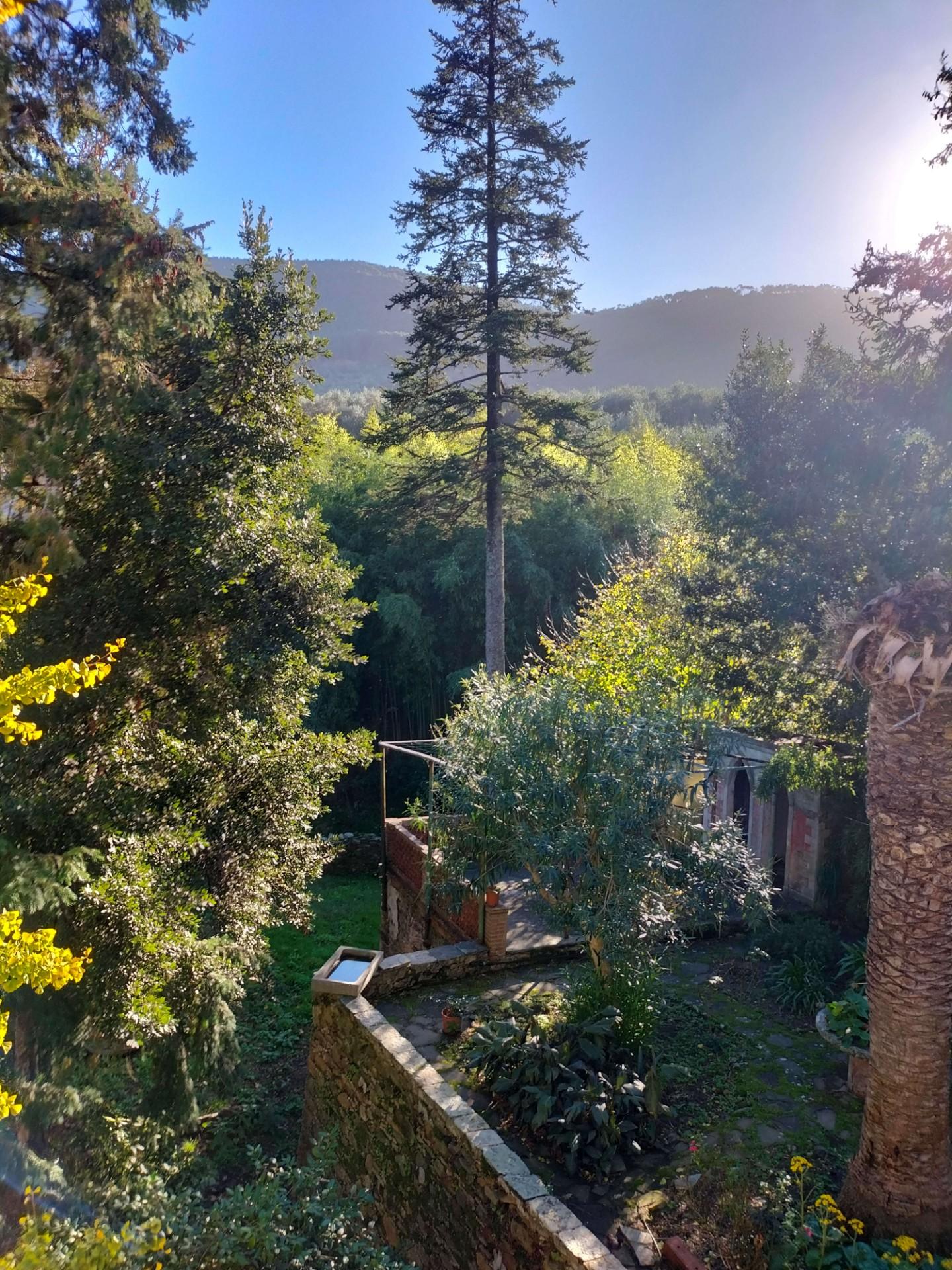 Stabile/Palazzo con giardino a Pisa