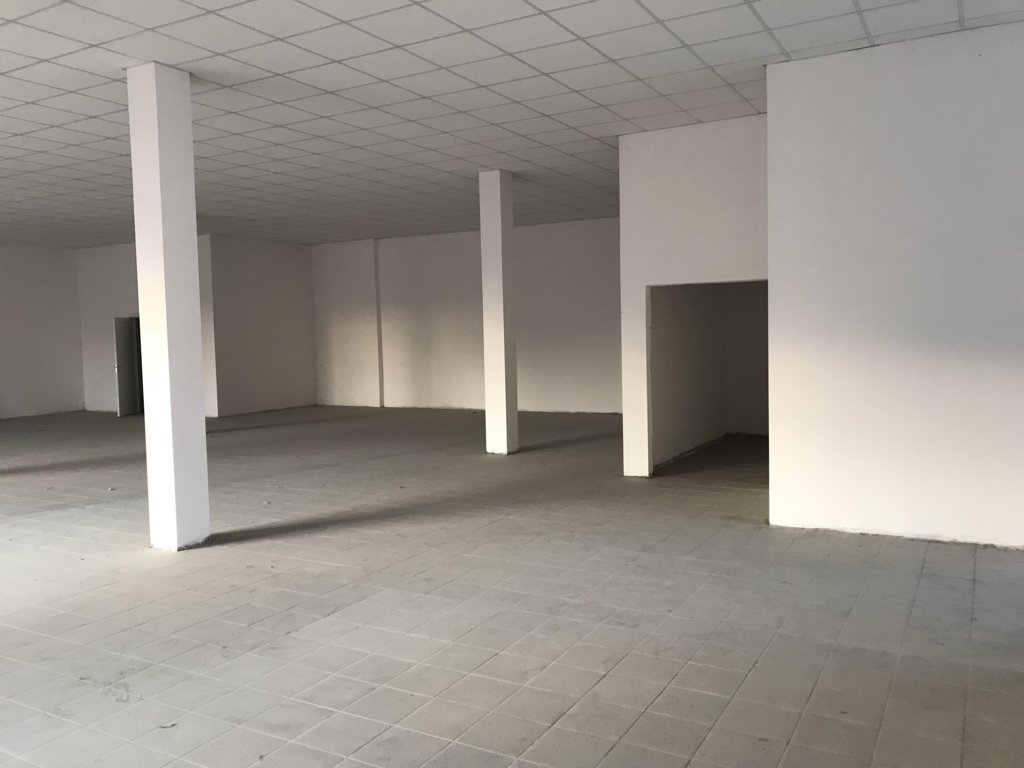 immagine annuncio 3 di 6