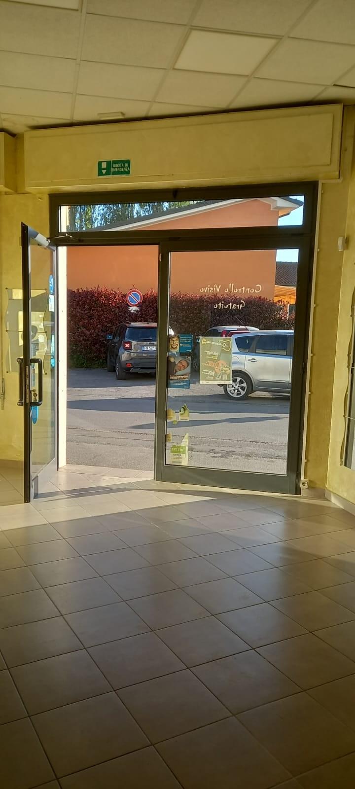 Capannone in affitto a Capannori