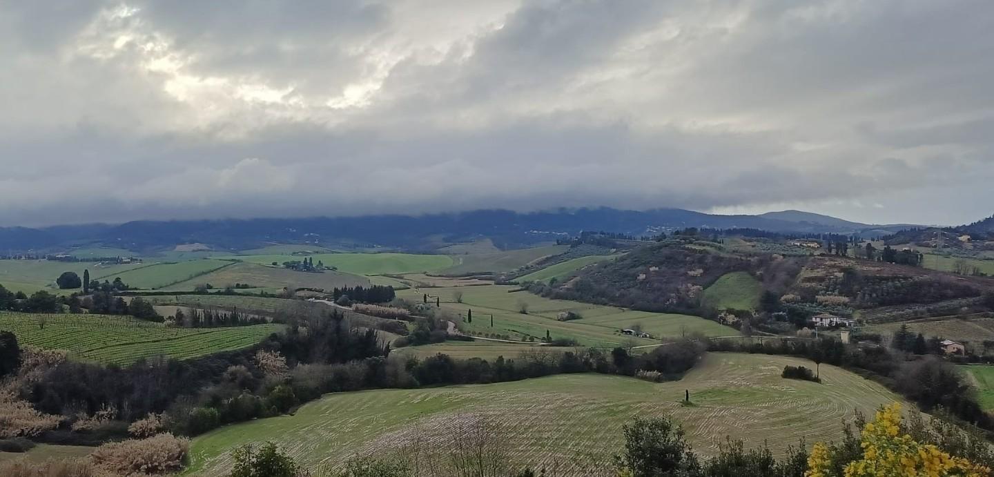 Villa con giardino a Fauglia