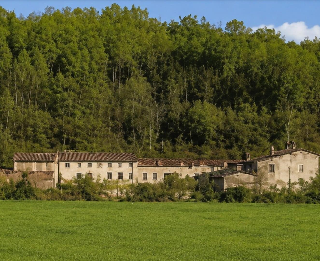 Attivit� commerciale in vendita a Montopoli in Val d'Arno