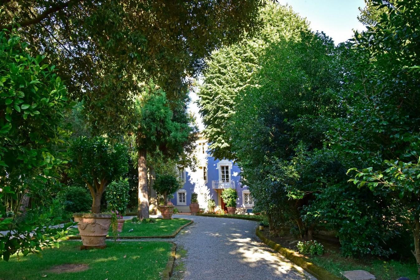 Attivit� commerciale in vendita a Lucca