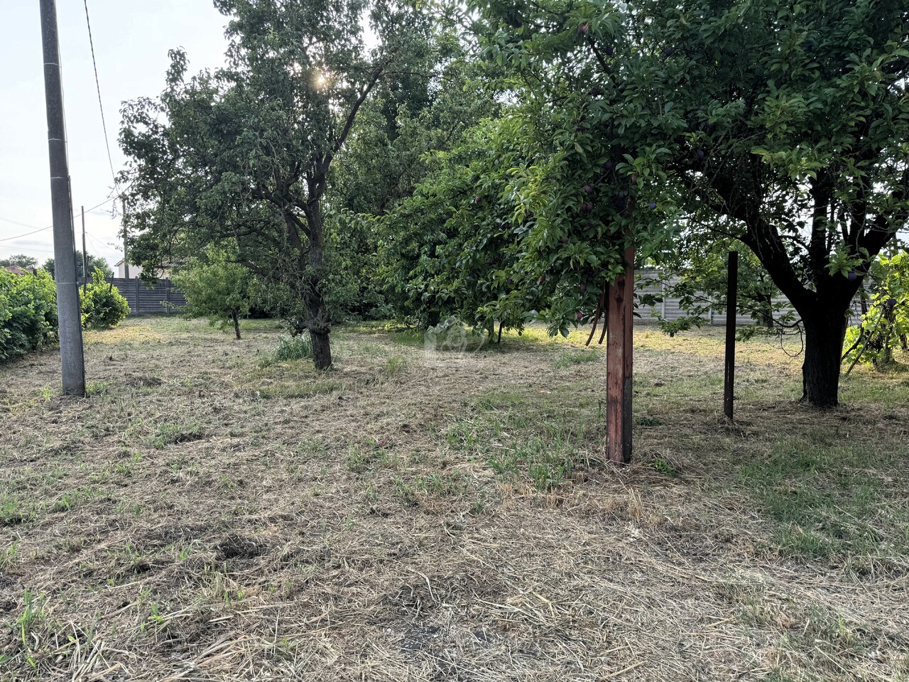 Casa indipendente con giardino a Suzzara