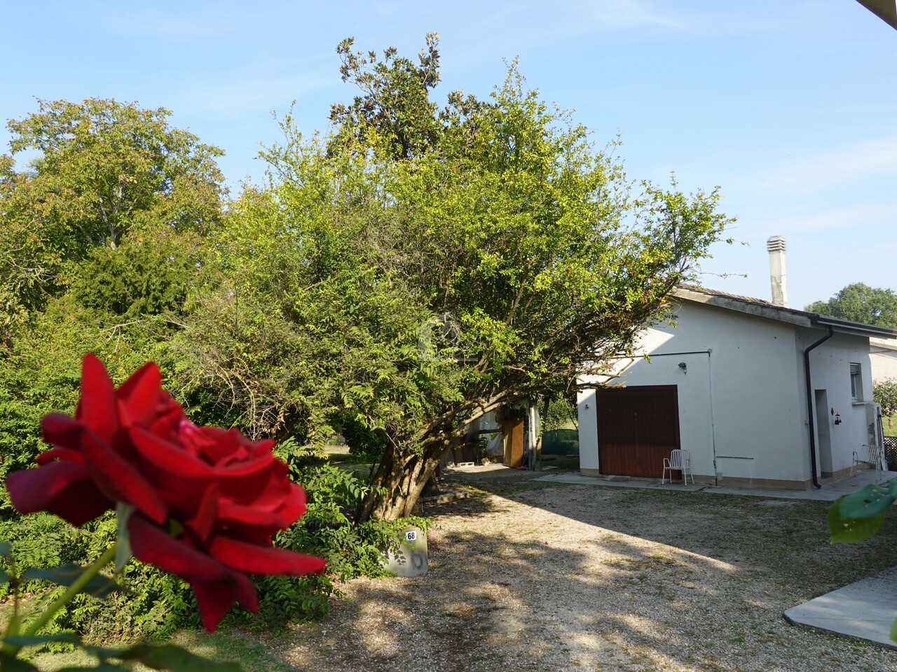 Casa indipendente con giardino a San Benedetto Po