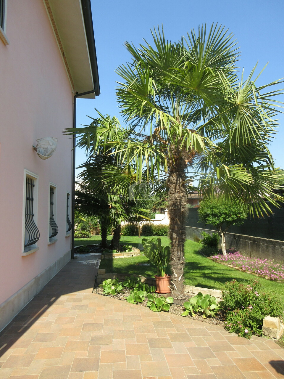 Villa con giardino a Suzzara