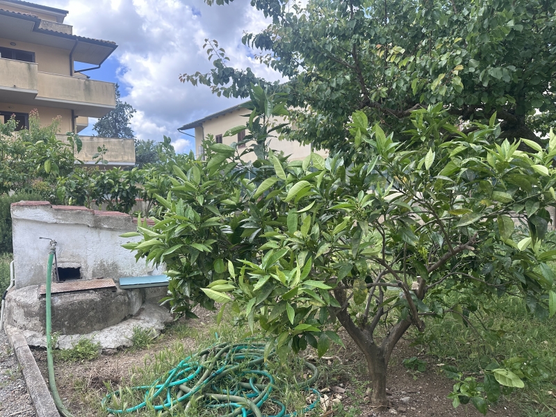 Villa con giardino a Gavorrano