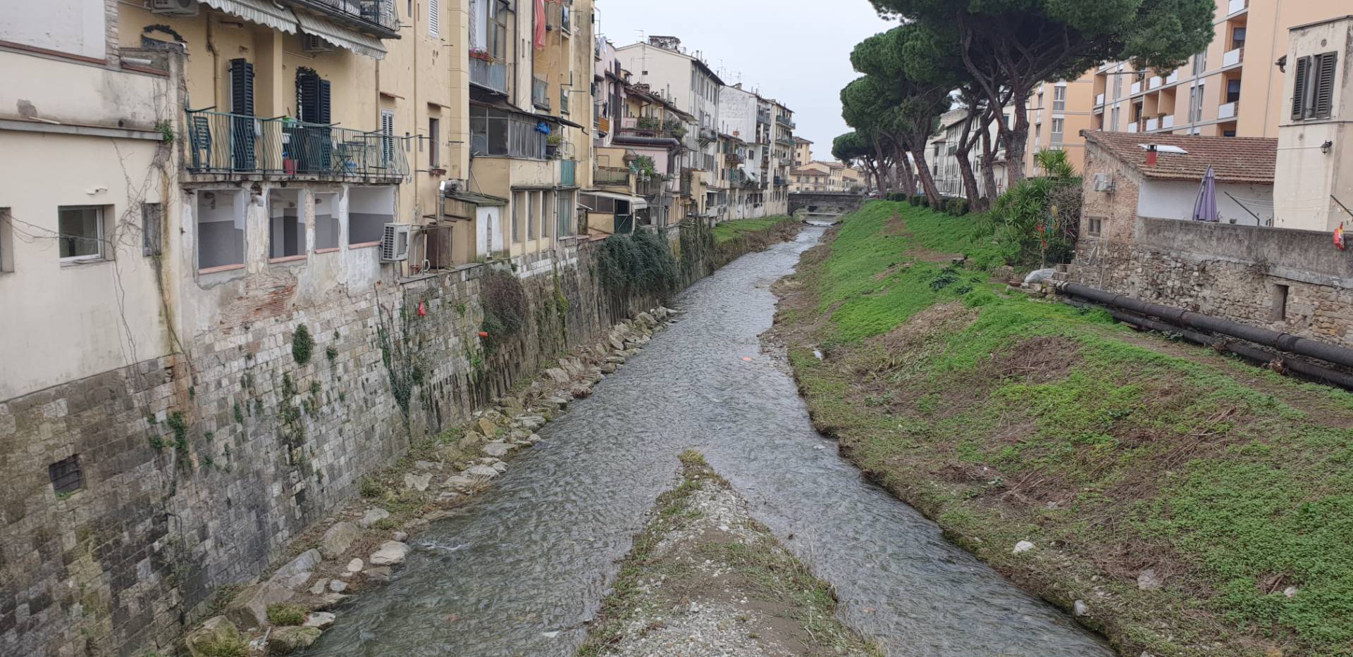 Attivit commerciale in vendita a Firenze