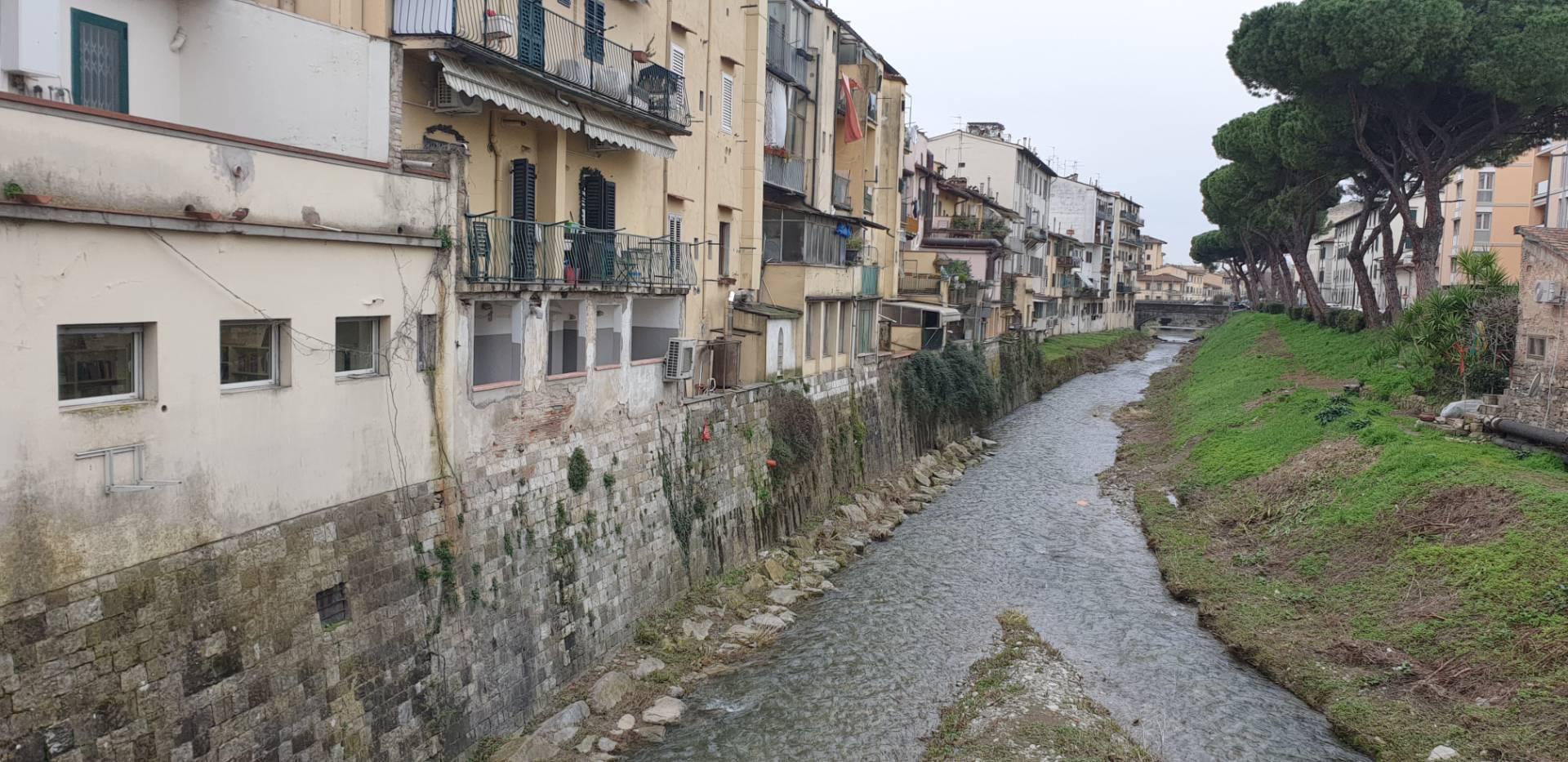 Attivit commerciale in vendita a Firenze