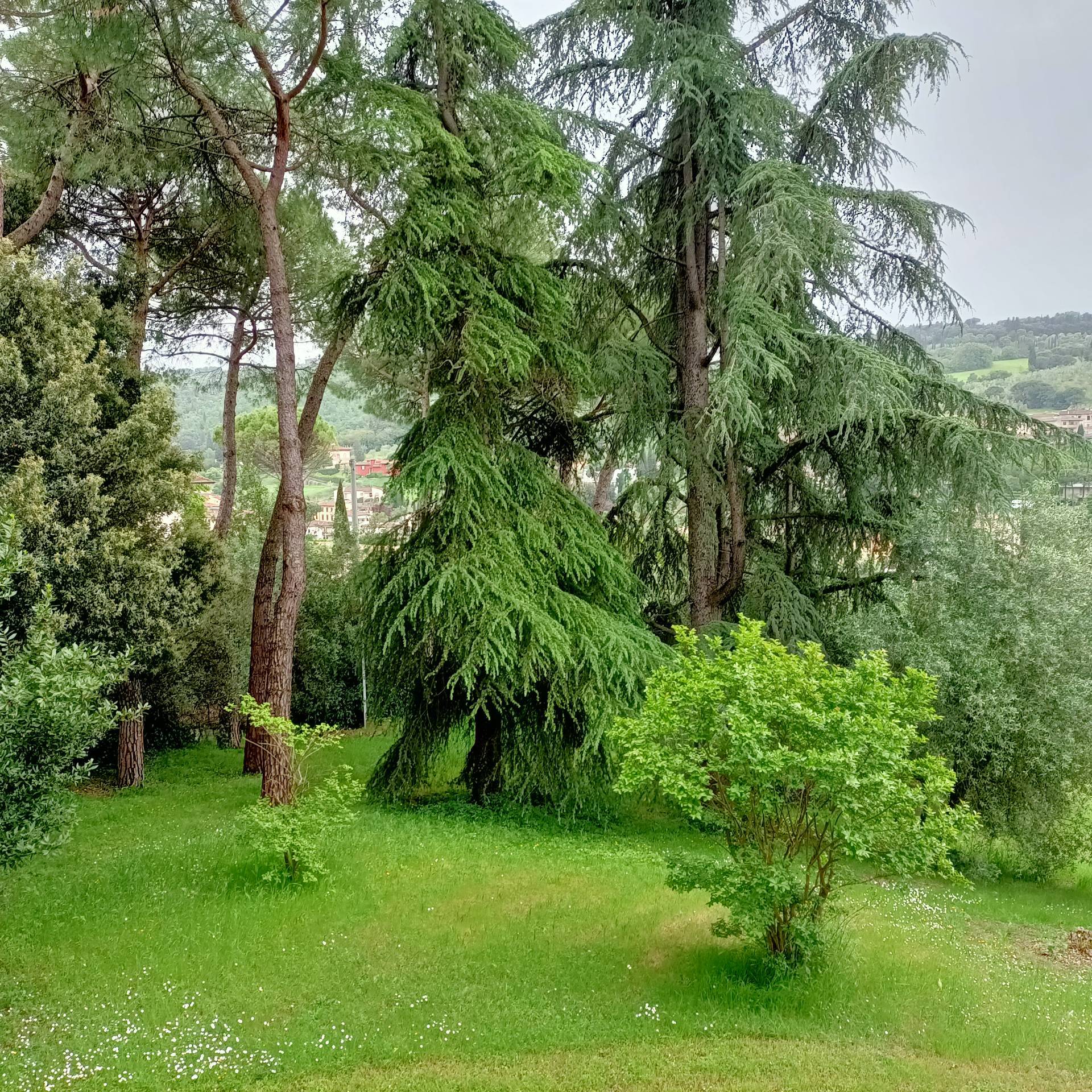 Villa in vendita a Signa, Colli Alti