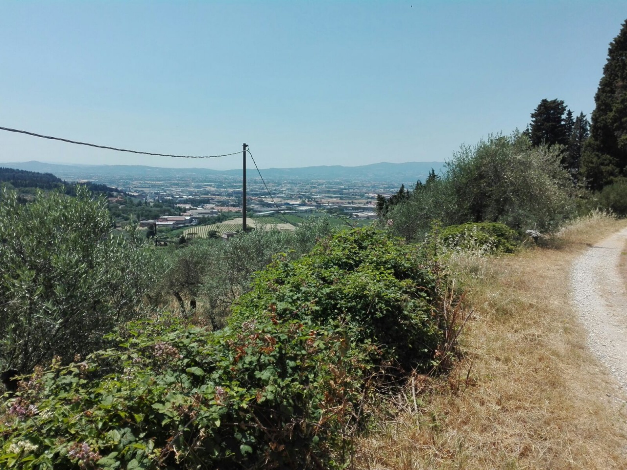 Terreno Agricolo in vendita a Calenzano