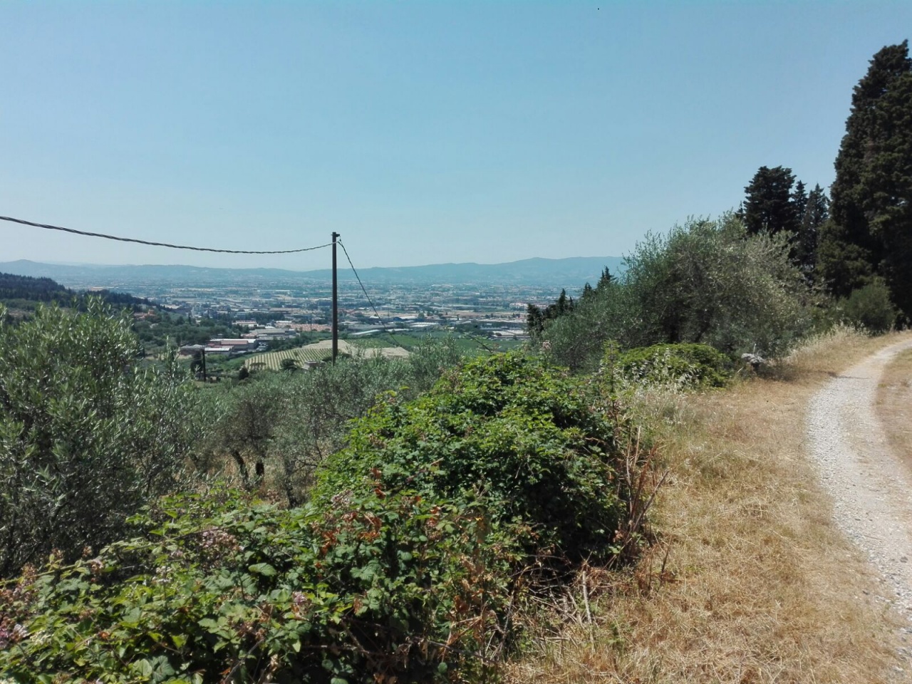 Terreno Agricolo in vendita a Calenzano