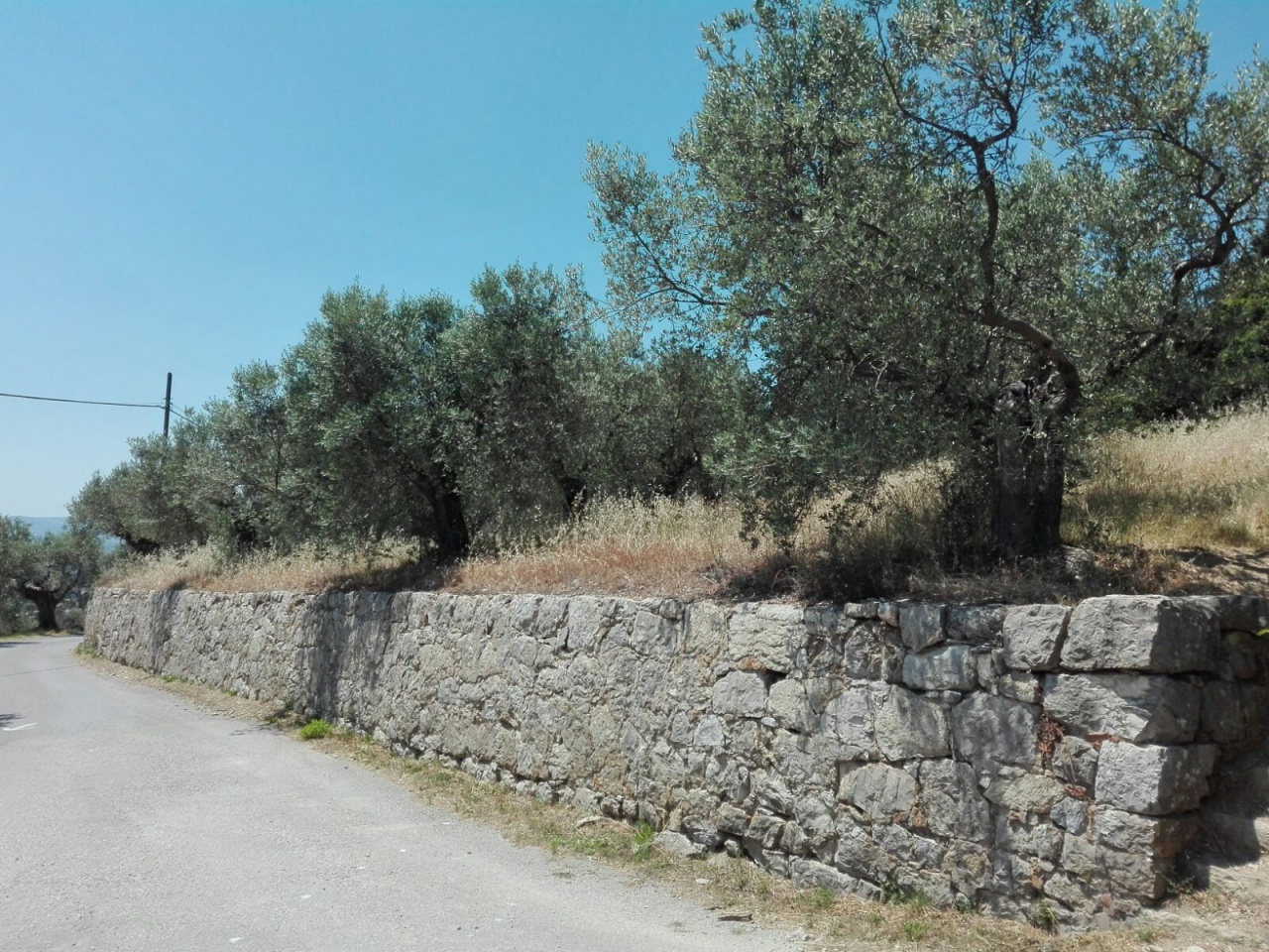 Terreno Agricolo in vendita a Calenzano