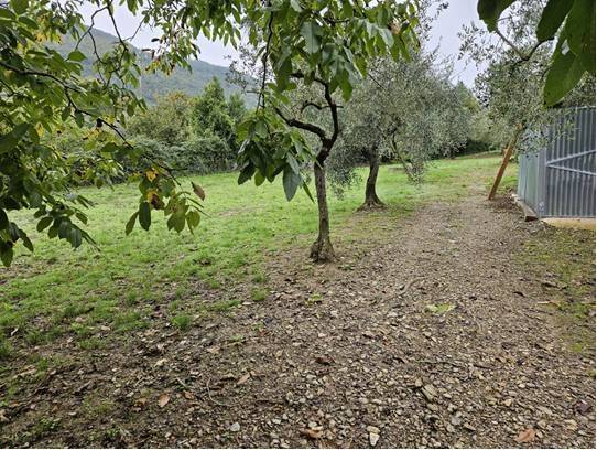 Terreno Agricolo in vendita a Calenzano, Secciano