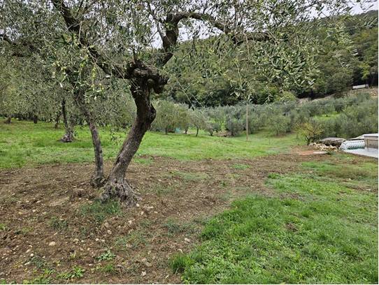 Terreno Agricolo in vendita a Calenzano, Secciano