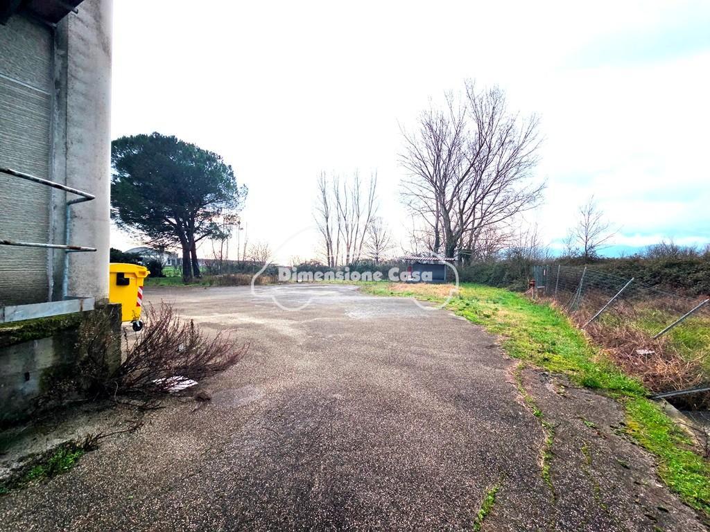 Capannone in affitto a Porcari