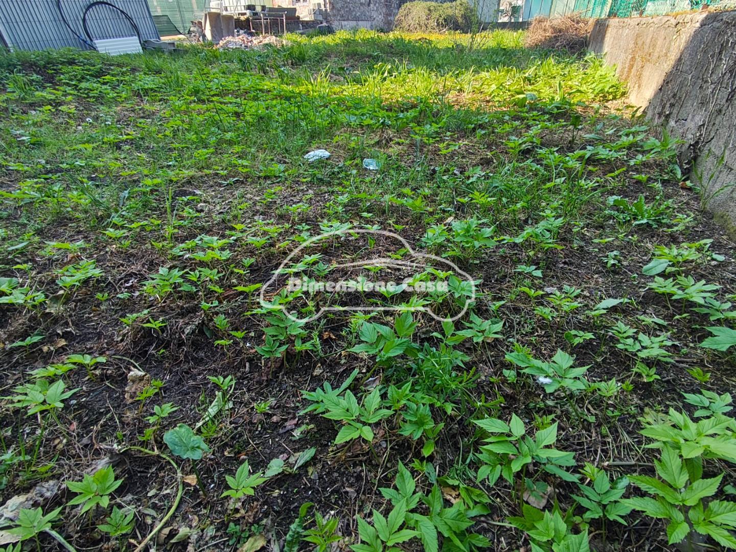 Casa indipendente con giardino, Capannori lunata