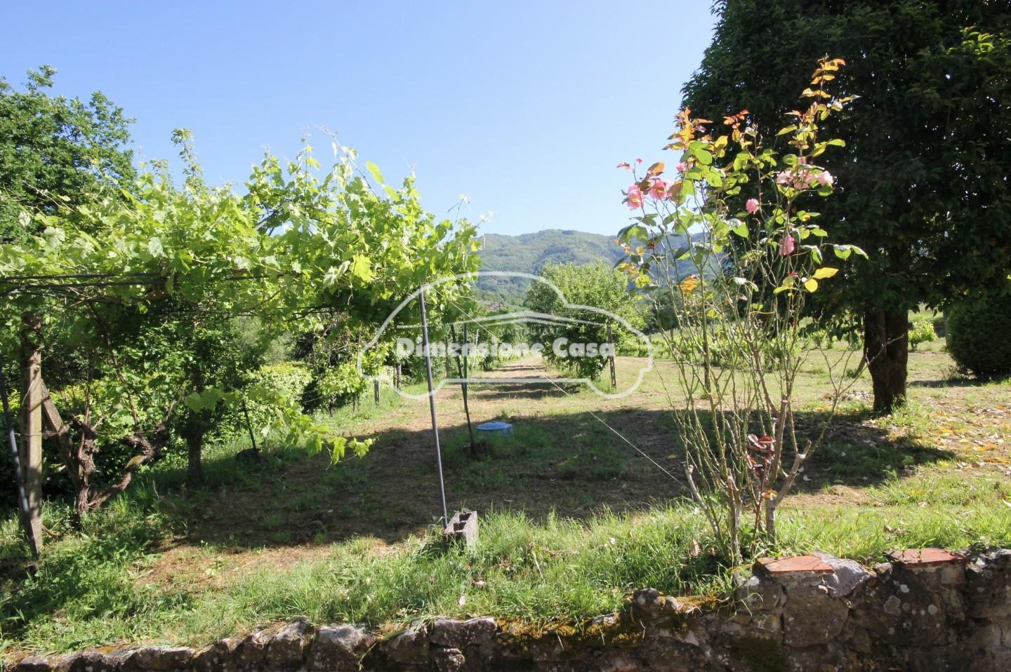 Casa indipendente con giardino, Capannori marlia