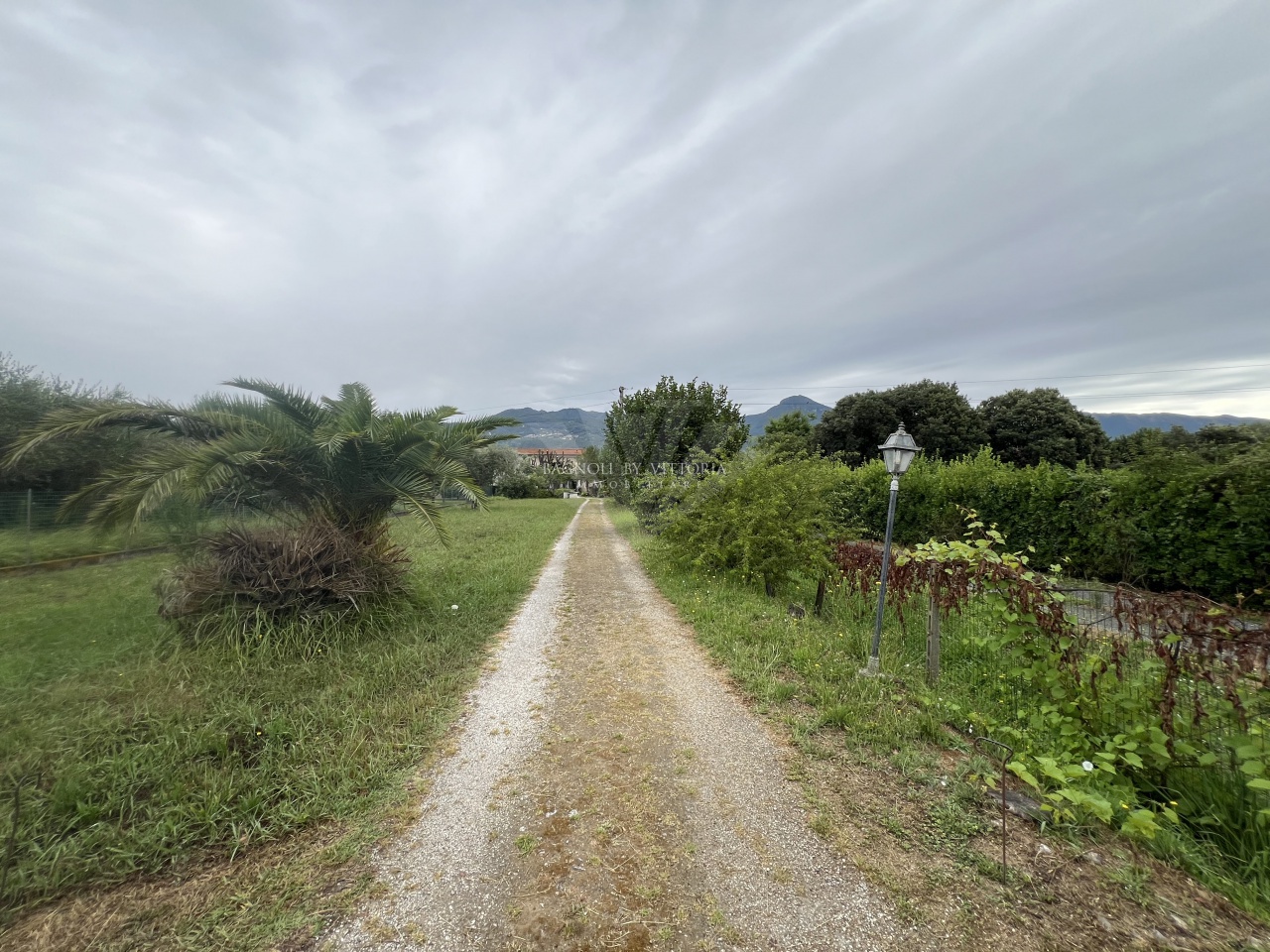Villa con giardino a Pietrasanta