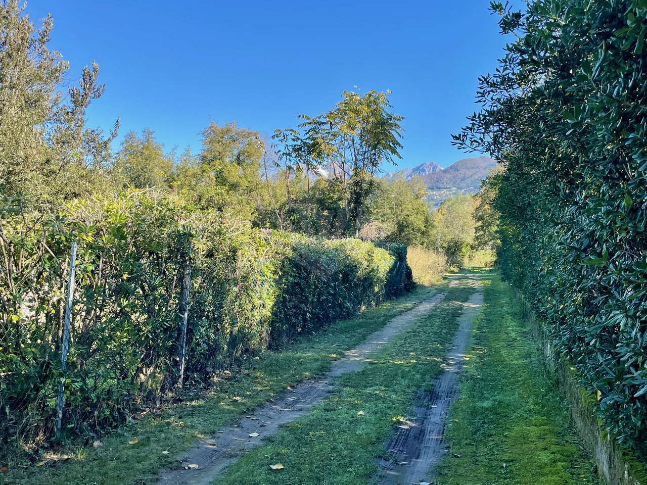 Terreno in vendita in via del barcaio, Pietrasanta