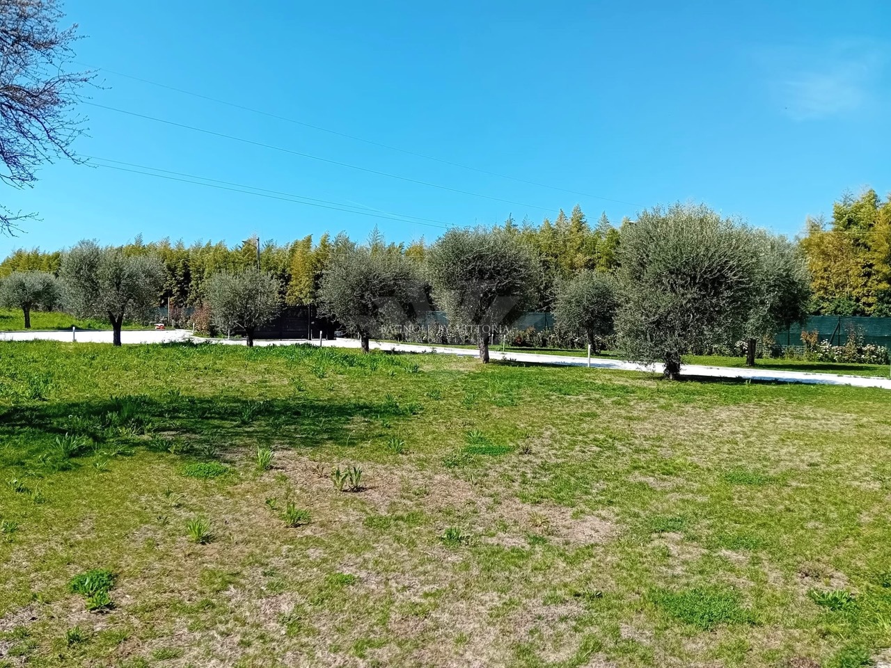 Villa arredata in affitto a Pietrasanta