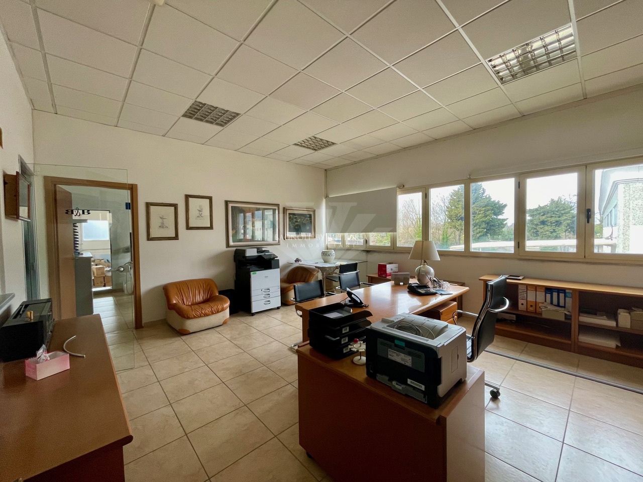 Capannone con giardino in via del portone, Pietrasanta