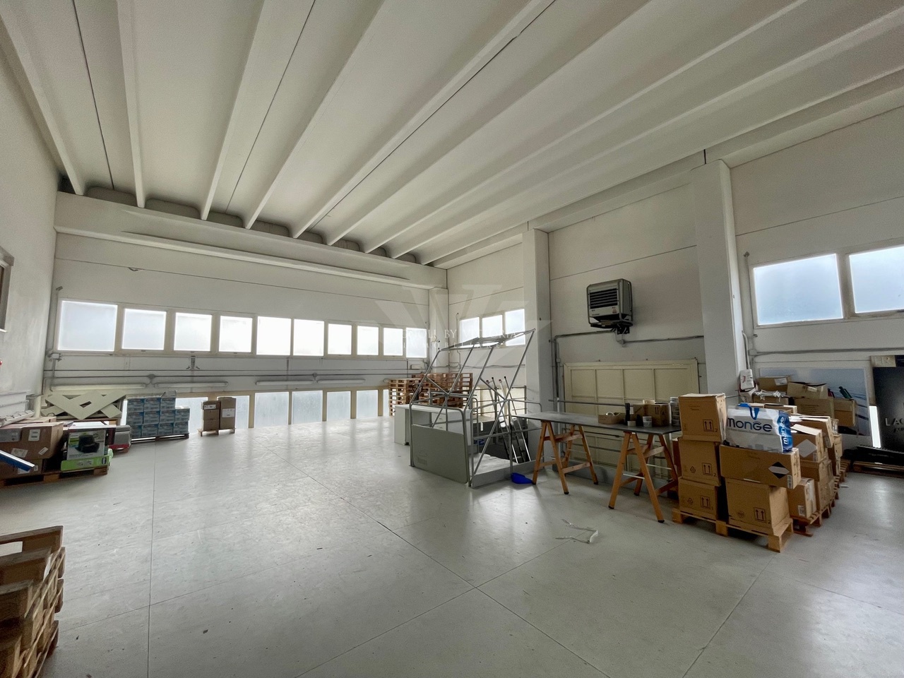 Capannone con giardino in via del portone, Pietrasanta