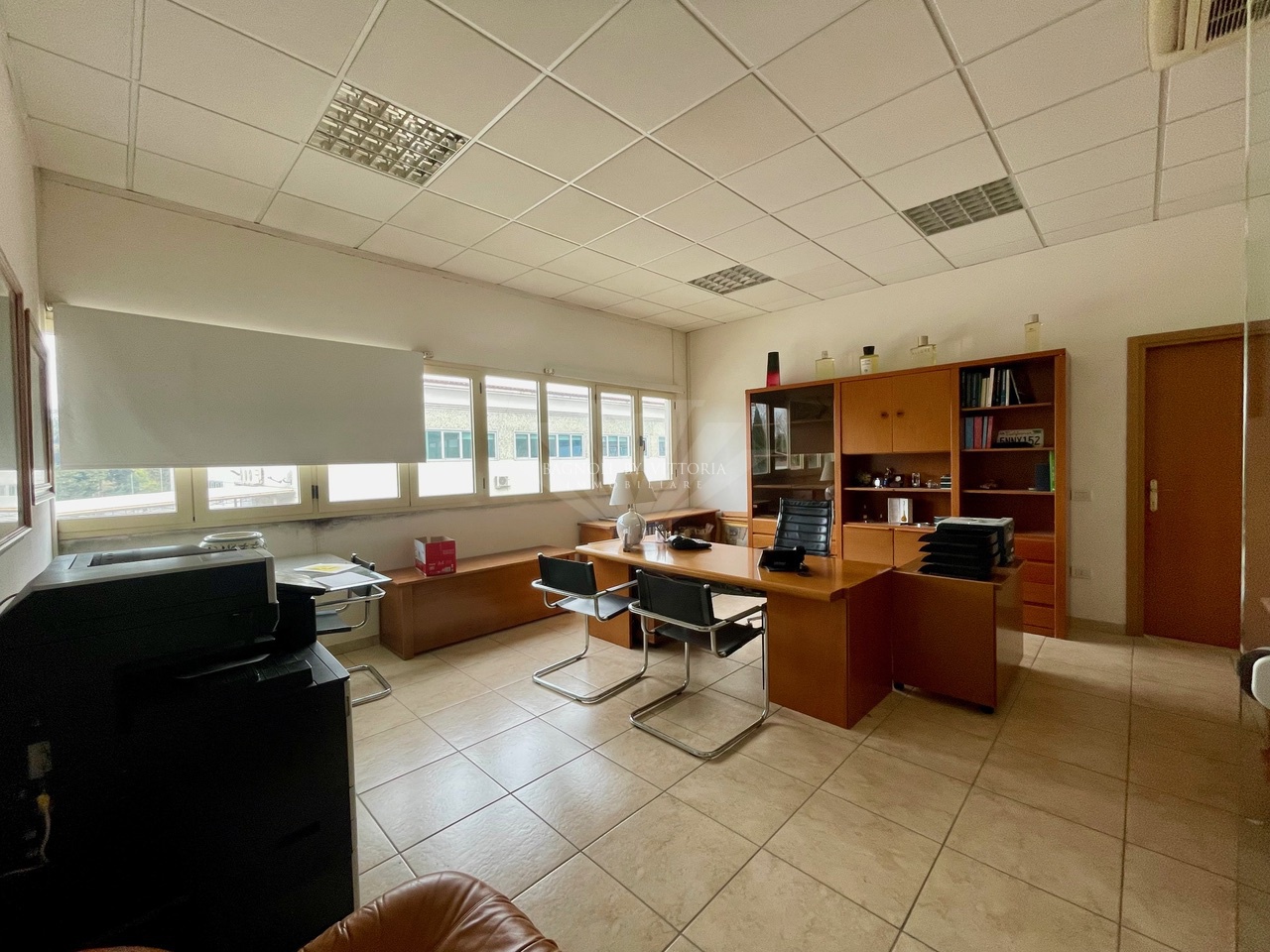 Capannone con giardino in via del portone, Pietrasanta