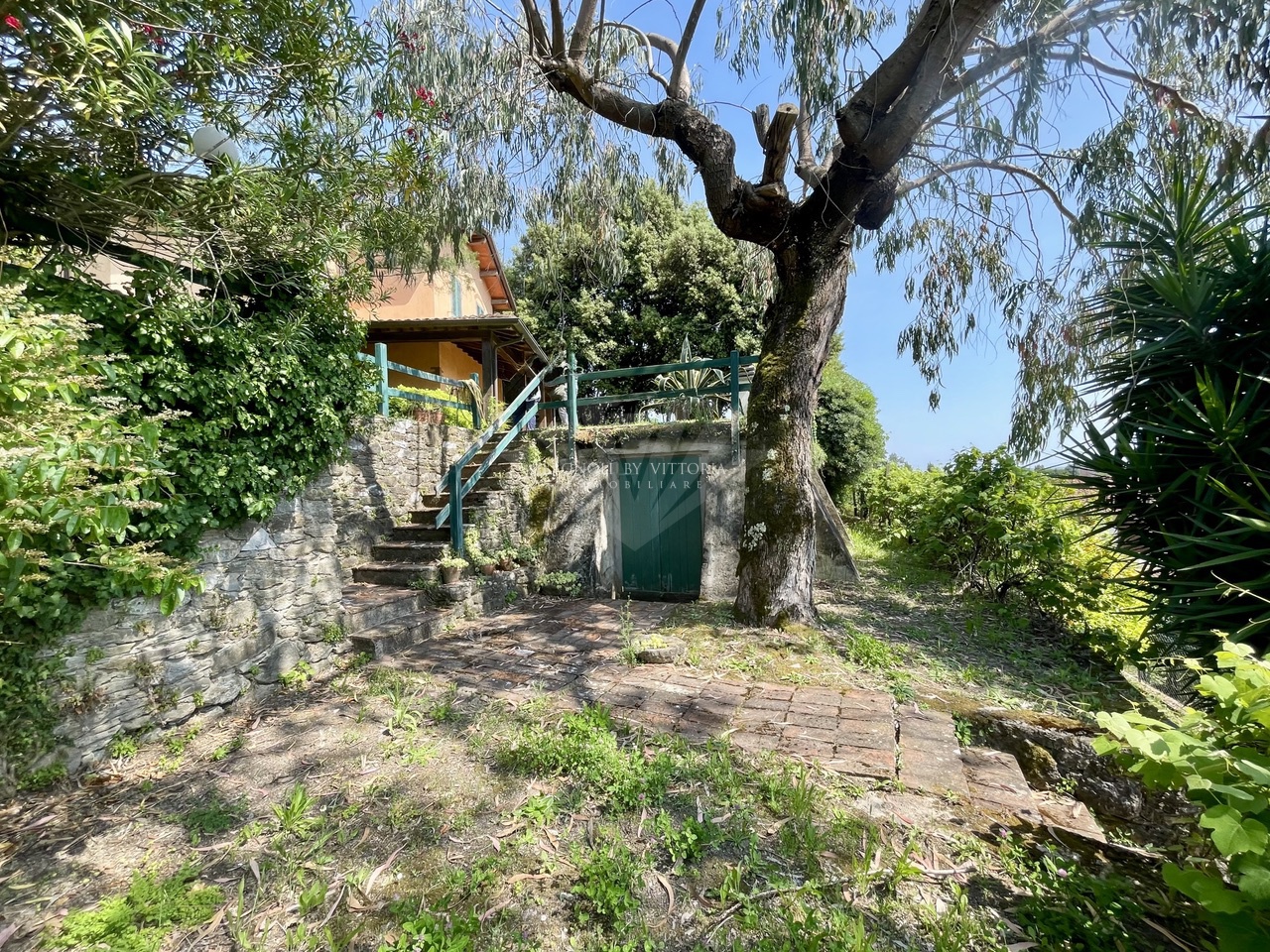 Villa con giardino a Pietrasanta