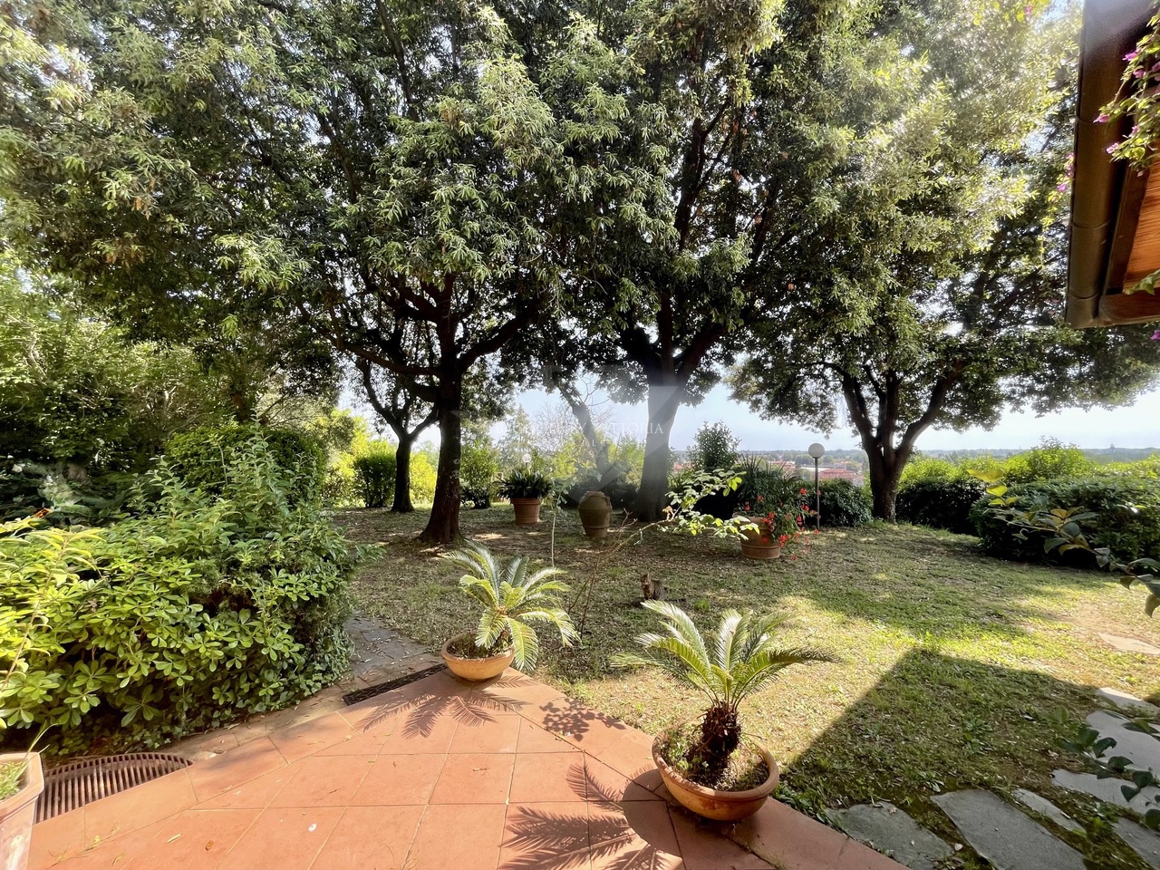 Villa con giardino a Pietrasanta