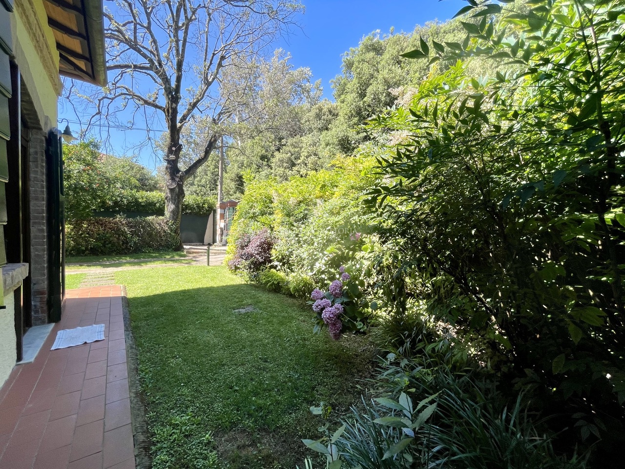 Villa arredata in affitto a Pietrasanta