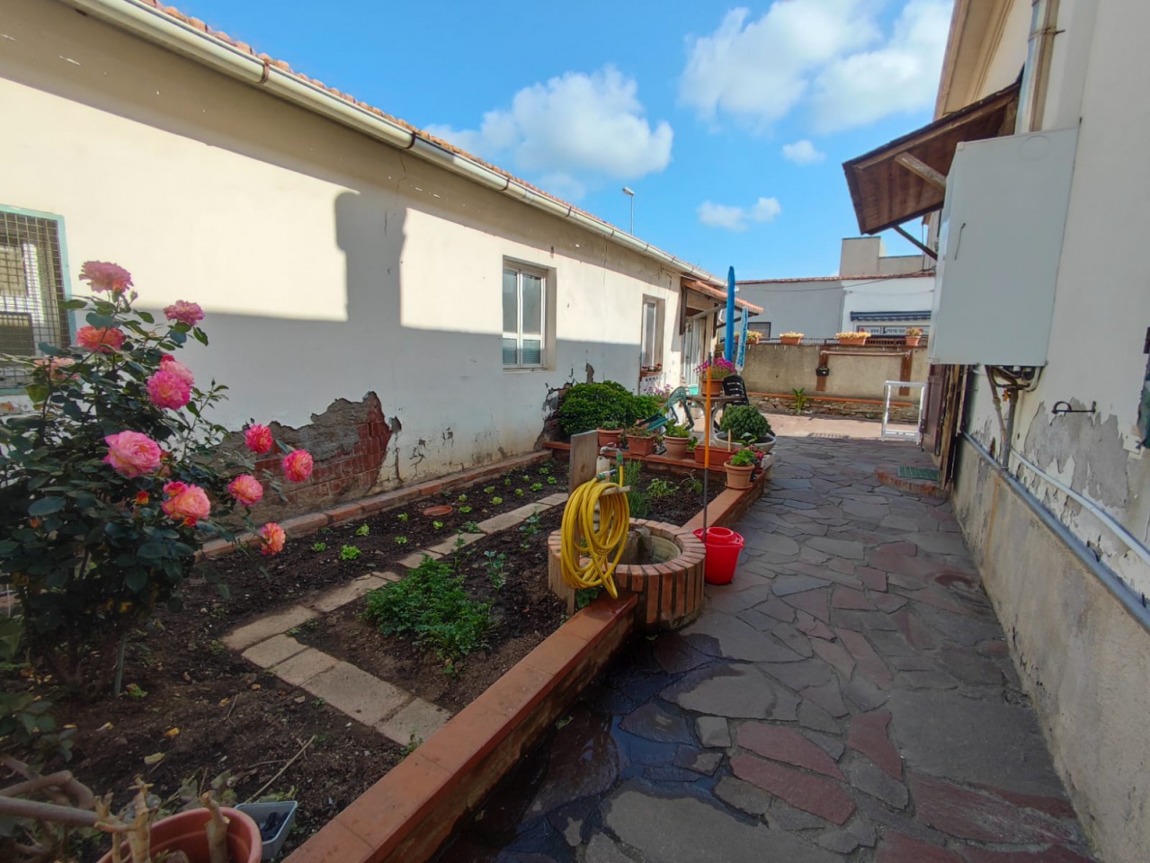 Casa indipendente con giardino a Campiglia Marittima