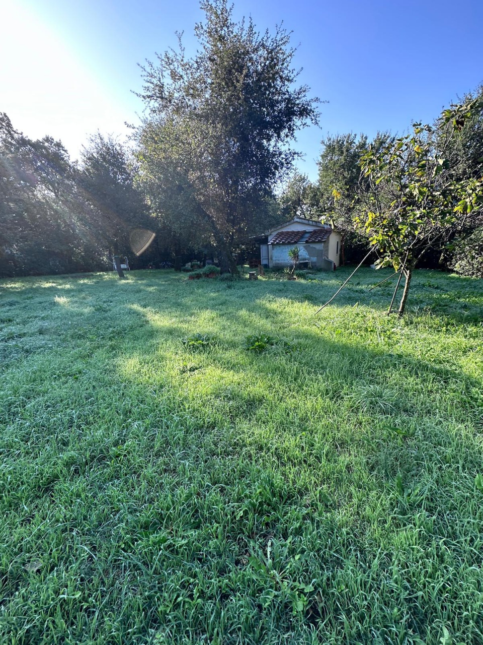 Casa indipendente in vendita a Campiglia Marittima