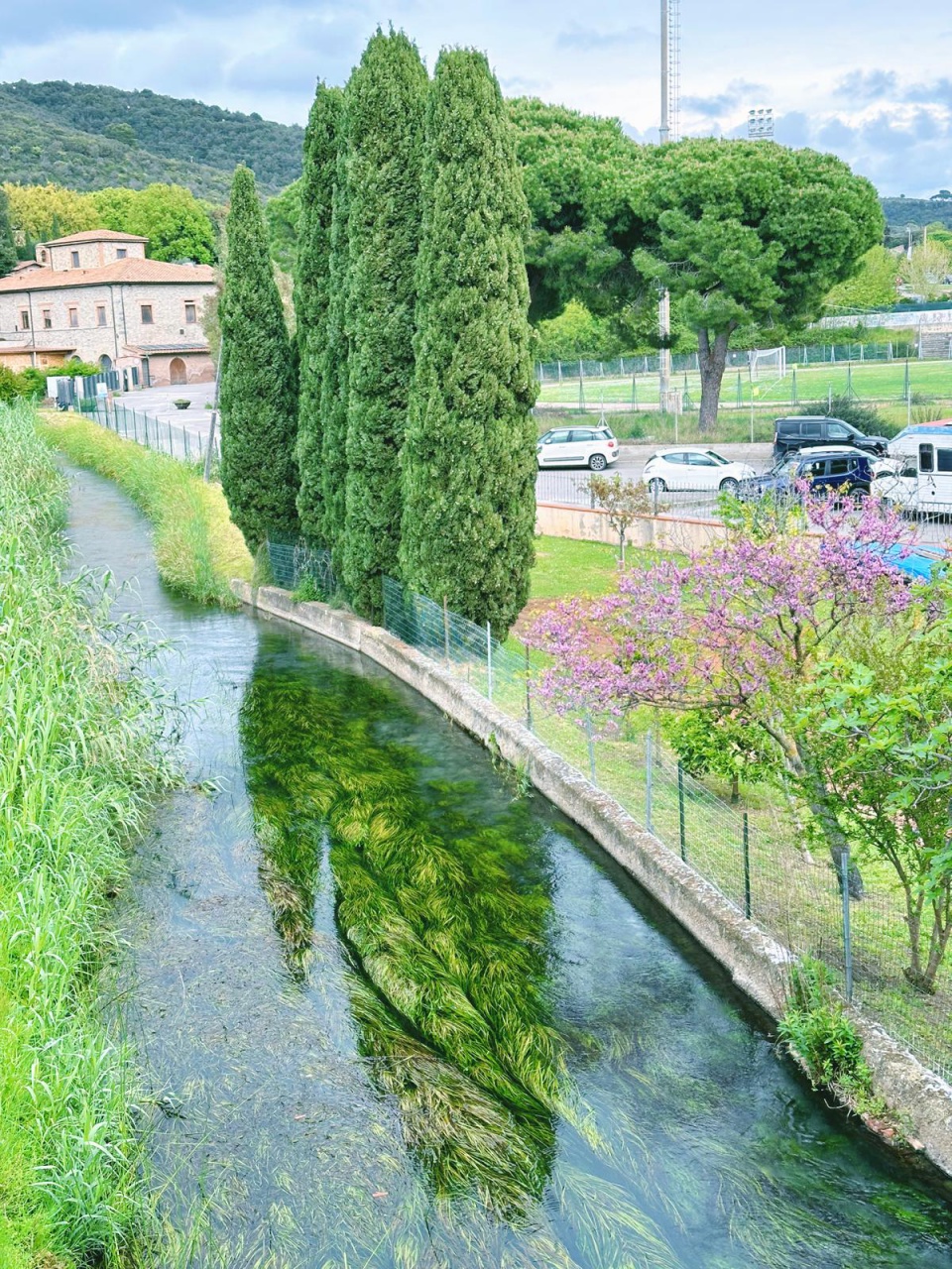 Bilocale in vendita a Campiglia Marittima
