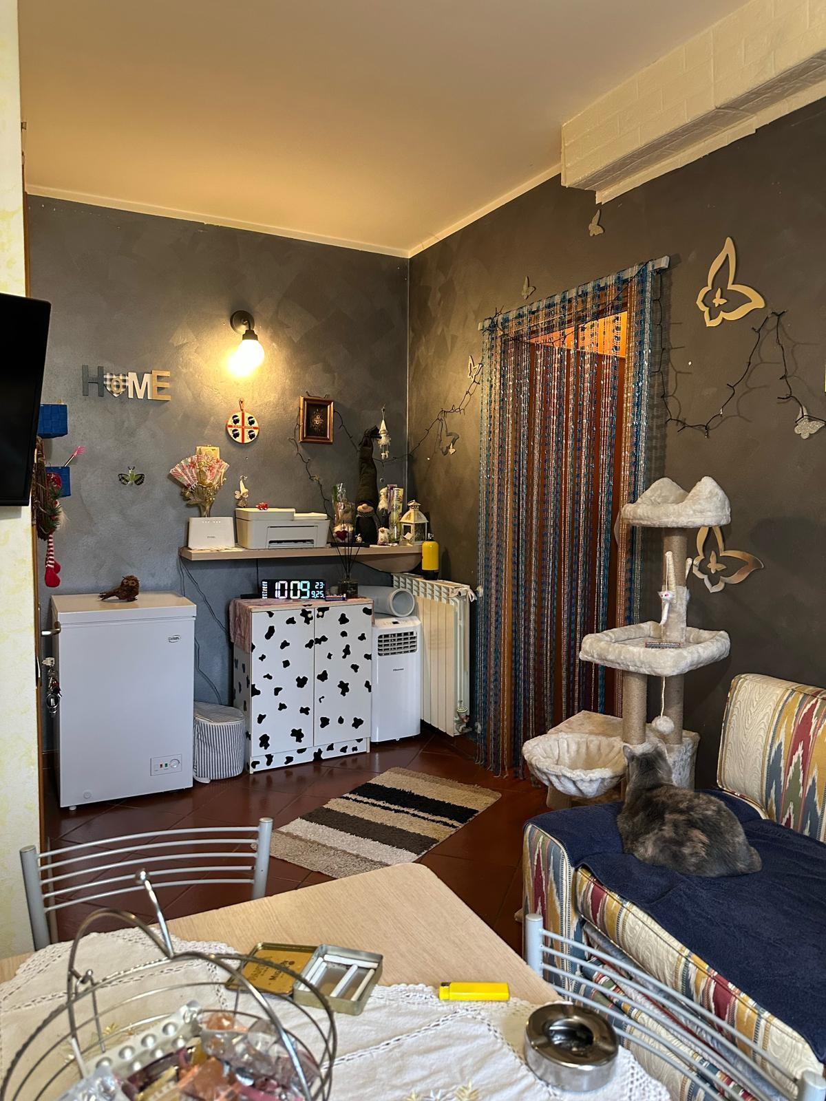 Bilocale in vendita, Campiglia Marittima venturina