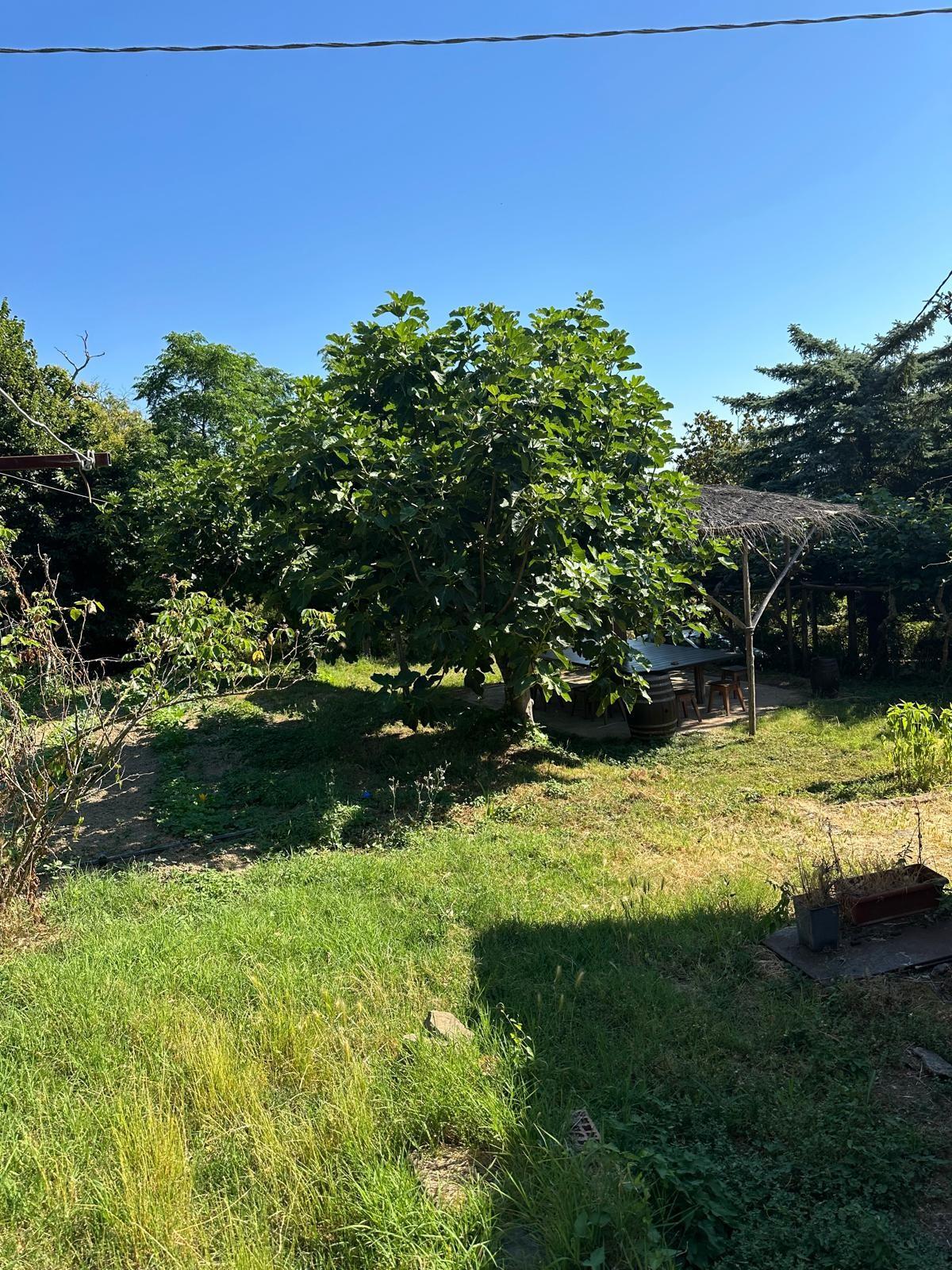 Casa indipendente in vendita, Sassetta campagna sud