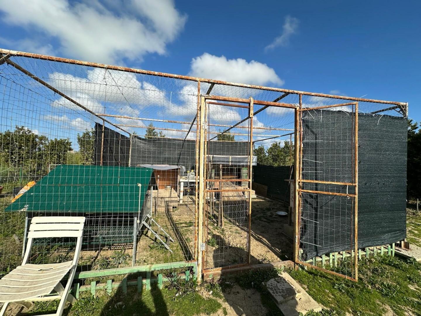 Terreno Agricolo in vendita, Campiglia Marittima campiglia stazione